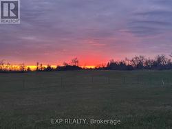 0 WEBSTER ROAD Douro-Dummer, ON K0L 2V0