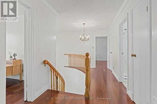 41 Cleaveholm Drive, Halton Hills, ON - Indoor Photo Showing Other Room