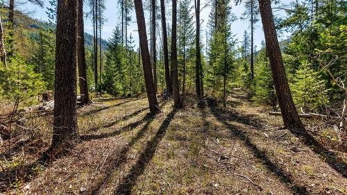 7760 95 Highway, Kingsgate, BC - Outdoor With View