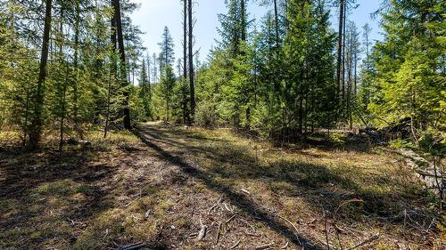 7760 95 Highway, Kingsgate, BC - Outdoor With View