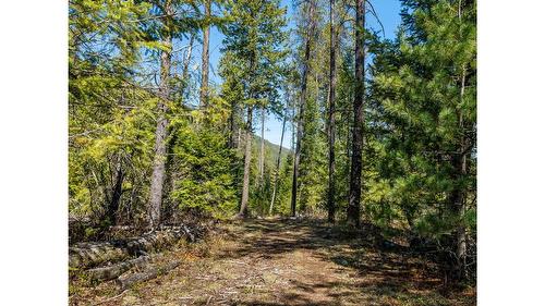 7760 95 Highway, Kingsgate, BC - Outdoor With View
