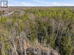 1673 MUSKOKA RD 38 Muskoka Lakes (Wood (Muskoka Lakes)), ON P0C 1A0