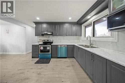 42 Tupper Crescent, Kitchener, ON - Indoor Photo Showing Kitchen With Double Sink