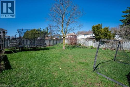 Expansive green lawn with a mature tree - 44 Lorilee Crescent, Kitchener, ON - Outdoor