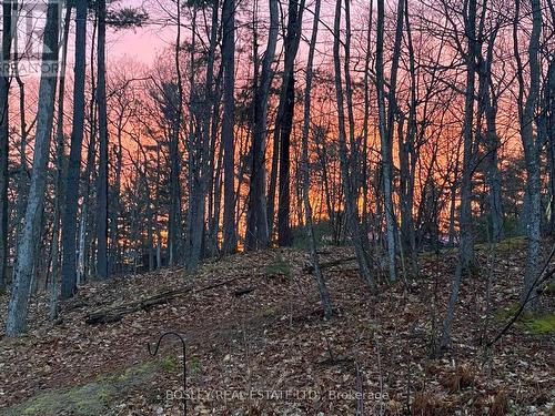 1204 Tiny Beaches Road N, Tiny, ON - Indoor With Storage