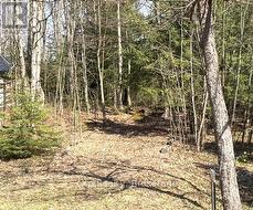 PT LT 21 GREY ROAD 12 ROAD West Grey, ON N0G 1R0