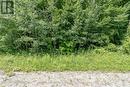 418 Concession 13 Road E, Tiny, ON 