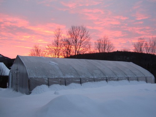 Serre - 521 Mtée Major, Boileau, QC - Outdoor With View
