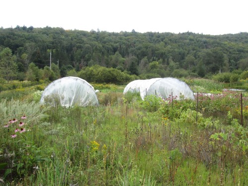 Serre - 521 Mtée Major, Boileau, QC - Outdoor With View