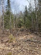 13476 HWY. 542 HIGHWAY Gordon/Barrie Island, ON P0P 1H0