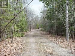 N/A DIAL ROAD N Central Manitoulin, ON P0P 2C0