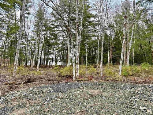 Lot 201 No 8 Highway, Milton, NS 