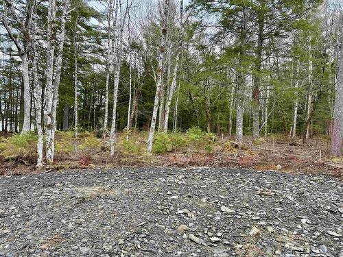 Lot 201 No 8 Highway, Milton, NS 