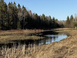 Lot EAN-1B West Tatamagouche Road Tatamagouche, NS B0K 1V0