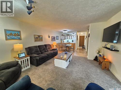 24 228 3Rd Street, Weyburn, SK - Indoor Photo Showing Living Room