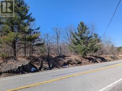 LOT 3 - 36 COUNTY ROAD Rideau Lakes, ON K0G 1X0