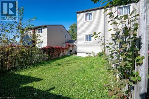 Expansive grassy lawn bordered by a wood privacy fence - 168 Silver Aspen Crescent, Kitchener, ON - Outdoor