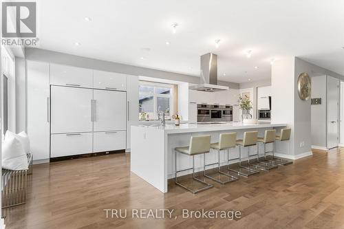 250 Sunnyridge Crescent, Ottawa, ON - Indoor Photo Showing Kitchen With Upgraded Kitchen