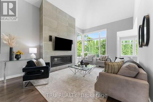 250 Sunnyridge Crescent, Ottawa, ON - Indoor Photo Showing Living Room With Fireplace