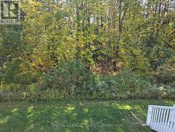 Private, Treed Backyard - 