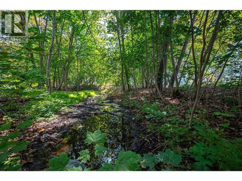 9310 Kalamalka Road, Coldstream, BC - Outdoor