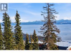 The best at Silver Star! - 