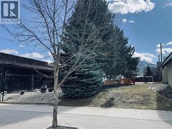 310 Mackenzie Avenue Revelstoke, BC V0E 2S0