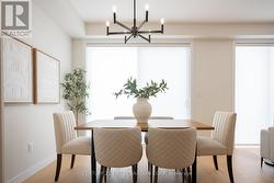 Window Treatments Added on Rear Windows - 