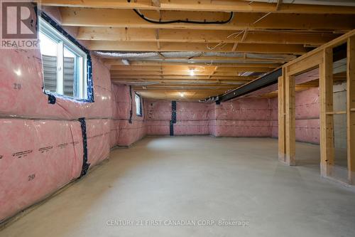 6673 Hayward Drive, London South (South V), ON - Indoor Photo Showing Basement