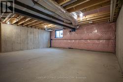Unfinished Basement - 