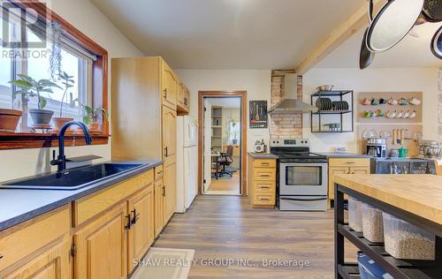 257 Guelph Street, Kitchener, ON - Indoor Photo Showing Kitchen