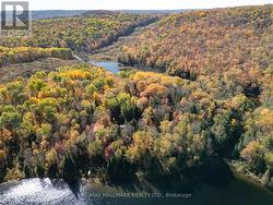 3517 HALIBURTON LAKE ROAD  Dysart Et Al, ON K0M 1S0