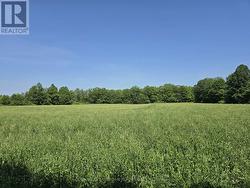 0 SHANNONVILLE ROAD Tyendinaga (Tyendinaga Township), ON K0K 1V0