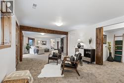 More cozy living space downstairs with new carpeting - 