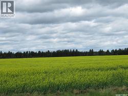 Lot 13 Parcel 3.53 Acres  Nipawin Rm No. 487, SK S0E 1E0