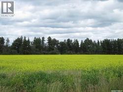 LOT 10 PARCEL 3.55 ACRES  Nipawin Rm No. 487, SK S0E 1E0