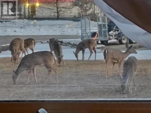 5 Forest St, Iron Bridge, ON - Outdoor With View