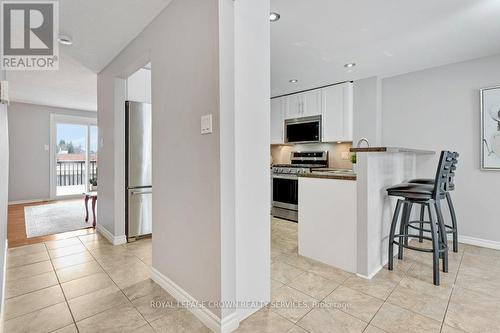 34 Rosebank Crescent, Kitchener, ON - Indoor Photo Showing Kitchen