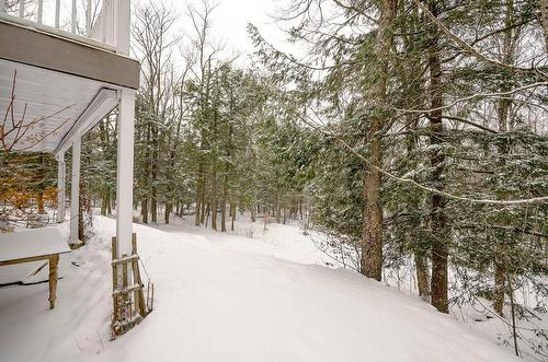 Extérieur - 191 Ch. Des Pinsons, Sutton, QC 