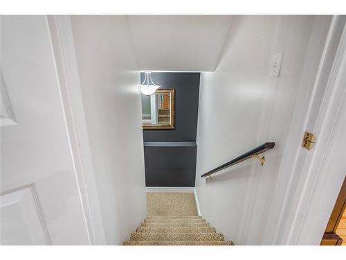 60 Goldfinch Drive, Paradise, NL 