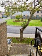 134 - 201 ALEXMUIR BOULEVARD  Toronto, ON M1V 1S5