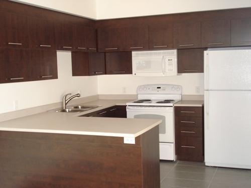 Cuisine - 2504-15 Boul. La Fayette, Longueuil (Le Vieux-Longueuil), QC - Indoor Photo Showing Kitchen With Double Sink