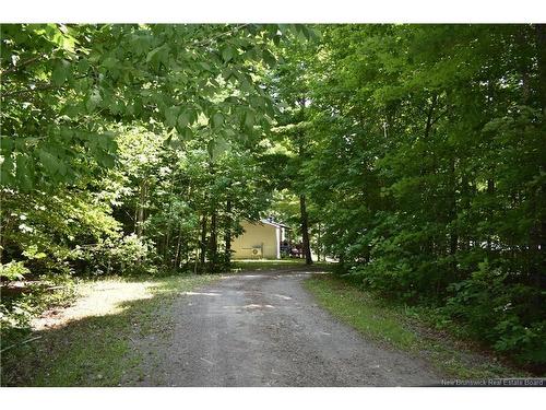 344 Route 575, Pole Hill, NB 