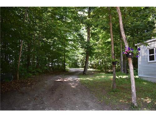 344 Route 575, Pole Hill, NB 
