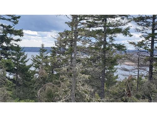 Cunningham Beach Dock Rd, Chamcook, NB 