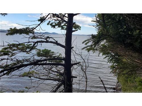 Cunningham Beach Dock Rd, Chamcook, NB 
