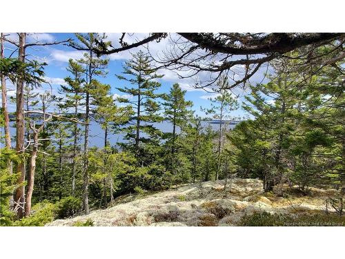 Cunningham Beach Dock Rd, Chamcook, NB 