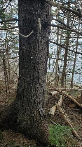 Cunningham Beach Dock Rd, Chamcook, NB 