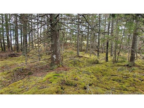 Cunningham Beach Dock Rd, Chamcook, NB 