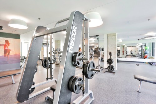 Other - 312-198 Rue Ann, Montréal (Le Sud-Ouest), QC - Indoor Photo Showing Gym Room